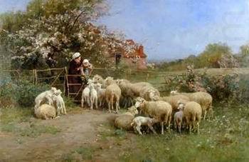 unknow artist Sheep 111 oil painting picture